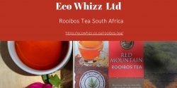 ROOIBOS TEA SOUTH AFRICA