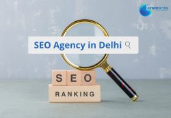 SEO Agency in Delhi