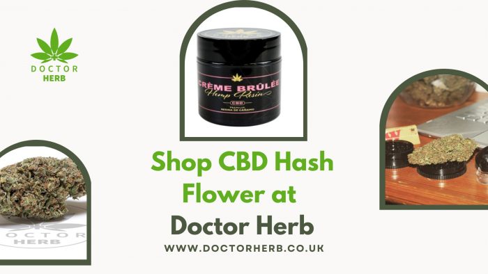 Shop CBD Hash Flower at Doctor Herb