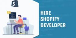 shopify expert hire