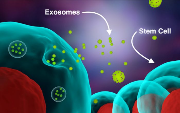 Stem Cells Versus Exosomes