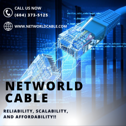 Network Cabling Surrey | NetWorld Cable