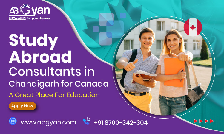 Top Jobs That You Can Take in Canada