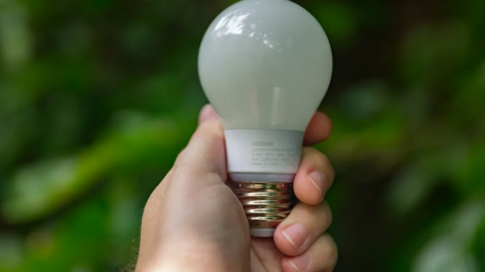What Advantages Do Brought Bulbs Have Over Traditional Bulbs?