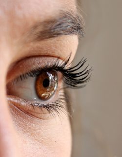 Sight Care Reviews | Is SightCare Supplement Ingredients And Benefits Really Work?