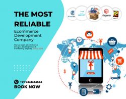 The Most Reliable Ecommerce Development company