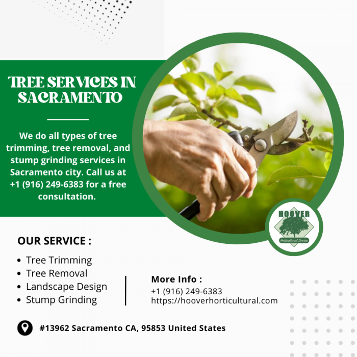 Sacramento Tree Service Professionals