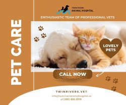 If you are looking for Riverside Veterinary Kamloops contact us today