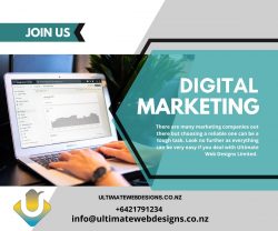 Hire the graphic designer Auckland for the growth of your business