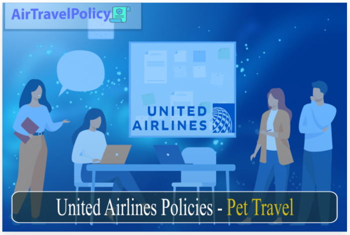 United Airlines Pet My Policy