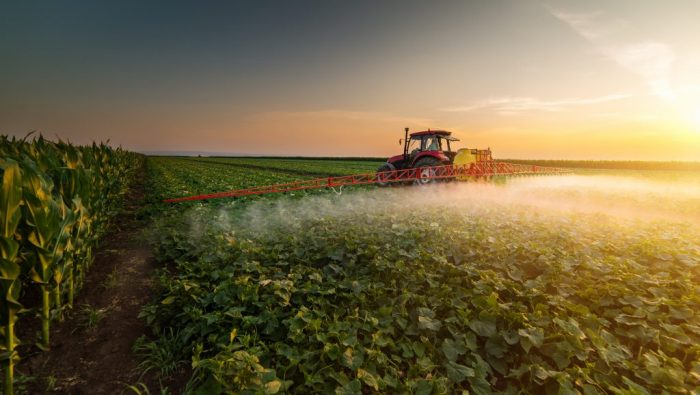 3 ways insecticides can be counterproductive in agriculture