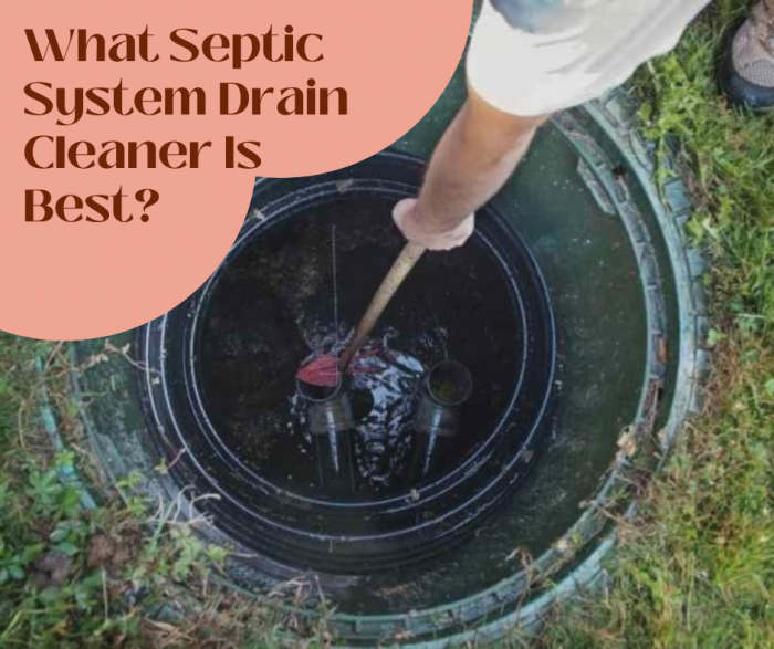 What Septic System Drain Cleaner Is Best?