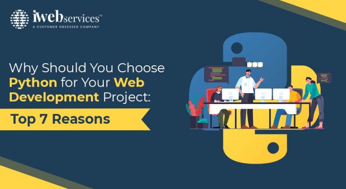Why Should You Choose Python for Your Web Development Project: Top 7 Reasons