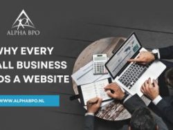 Reasons Why Small Businesses Need a Website – Alpha BPO