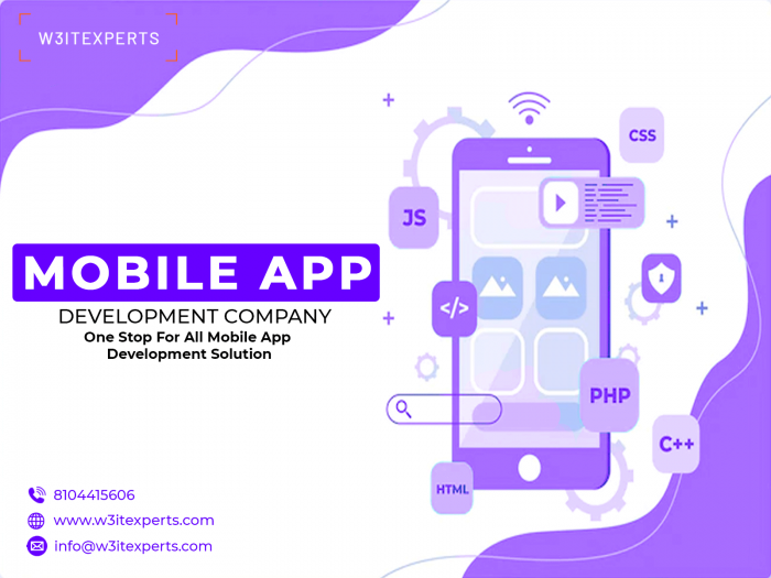 Custom Mobile Application Development Company in Kota
