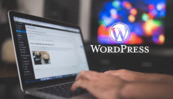 Best WordPress Development Company – Digital Web Services
