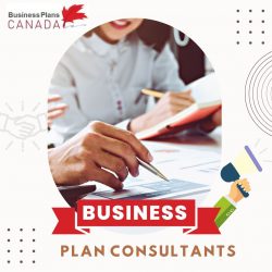 Writers of Expert Business Plans
