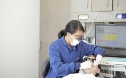 Top Rated Dentist in Houston
