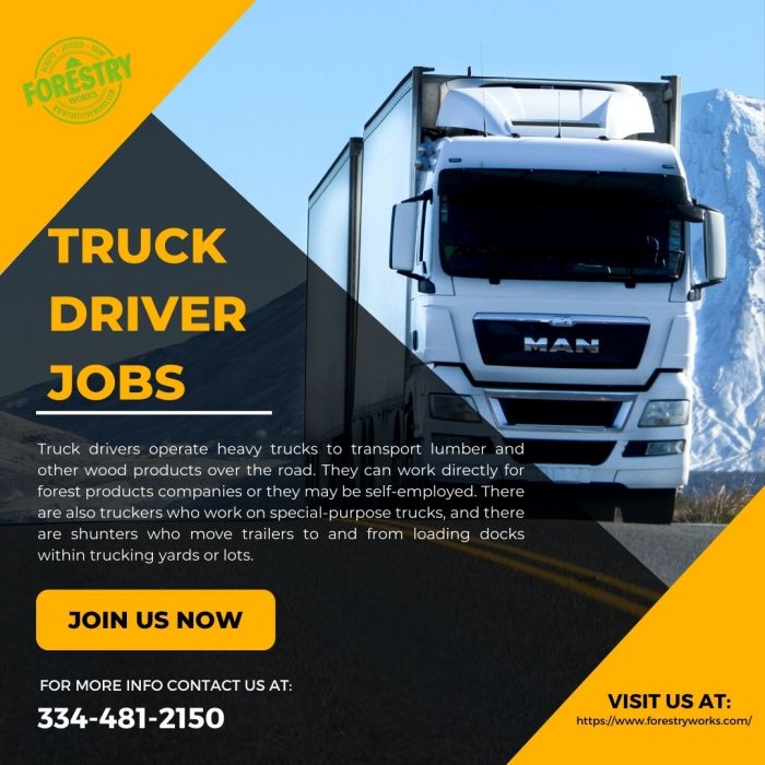 Affordable Truck Driver Jobs