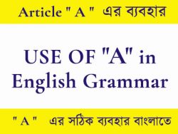 ” A ” এর ব্যবহার | Correct use of ” A ” in Bengali