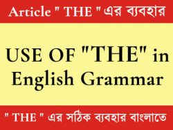” THE ” এর ব্যবহার | Correct use of ” THE ” in Bengali