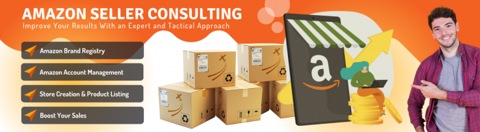 Amazon consulting services