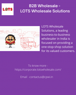 B2B Wholesale – LOTS Wholesale Solutions