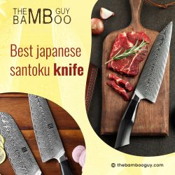 Best Japanese Santoku Knives | The Bamboo Guy