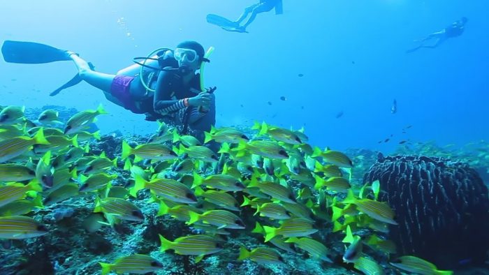 Best Scuba Diving Spots In India Every Underwater Enthusiast Must Visit