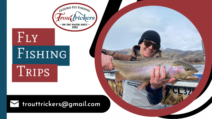 Book A Guided Fly Fishing Trip