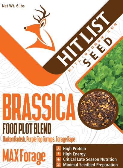 Brassica Food Plots at Hit List Seed