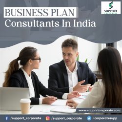 Business plan consultants in India