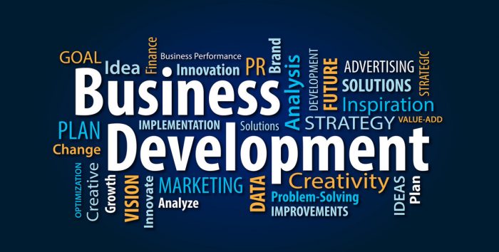 Tips For Successful Business Development
