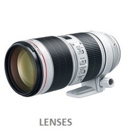 Canon Lenses UAE