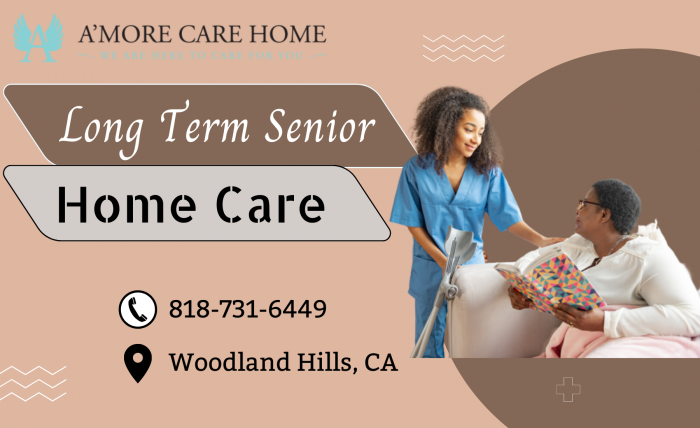 Comparing Long-Term Senior Home Care Vs. Nursing Service