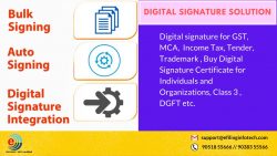 Digital signature solutions; efilinginfotech