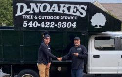 Tree Trimming Mechnanicsville Virginia – D’Noakes Tree & Outdoor Services