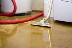 Why Do You Need A Tile Floor Cleaning Service For Your Home?