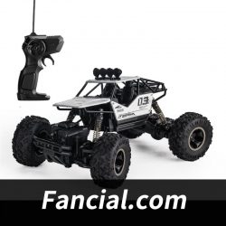 Where to buy remote control cars?
