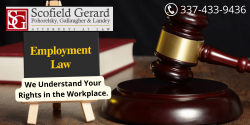 Choose the Right Employment Lawyer for Your Needs