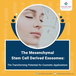 The Mesenchymal Stem Cell Derived Exosomes