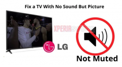 Fix a TV With No Sound But Picture | Not Muted