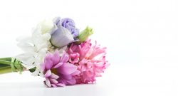 Dubai Flower Shops Offer Fresh Flower Bouquet
