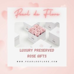Pearl de Flore Reviews – Luxury Preserved Rose Gifts