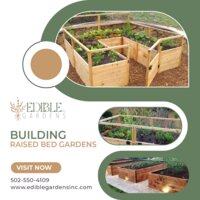 Gardening raised beds in Louisville