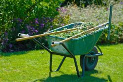The Best Garden Maintenance and Landscaping Services Companies in Sydney.