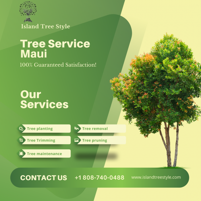Get the Best Tree Trimming Service in Maui | Island Tree Style