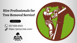 Professional Tree Removal Services in Louisiana
