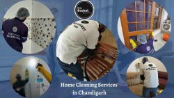 Best Home Cleaning Services in Chandigarh