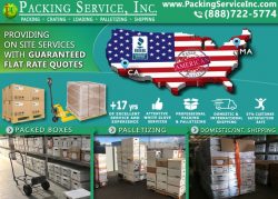 Shrink Wrapping Palletizing Services, Pallet Furniture & Boxes, Palletizers